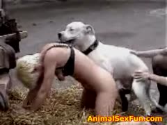 two dilettante white wife fucking with dog